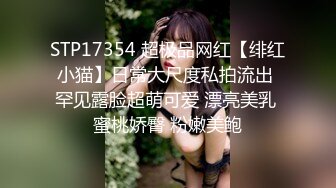 【泄密】Soul上约的超高颜值00后大学生，极品豪乳后入怼肏